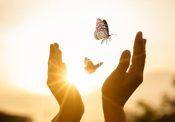 The,girl,frees,the,butterfly,from,moment,concept,of,freedom