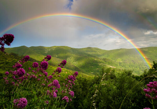 The,rainbow,after,the,storm